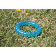 Rosewood BioSafe Germ Smart Puppy Ring 9cm