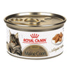 ROYAL CANIN® Maine Coon Adult Wet Cat Food