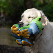 Petface Planet Trev Tree Frog Dog Toy