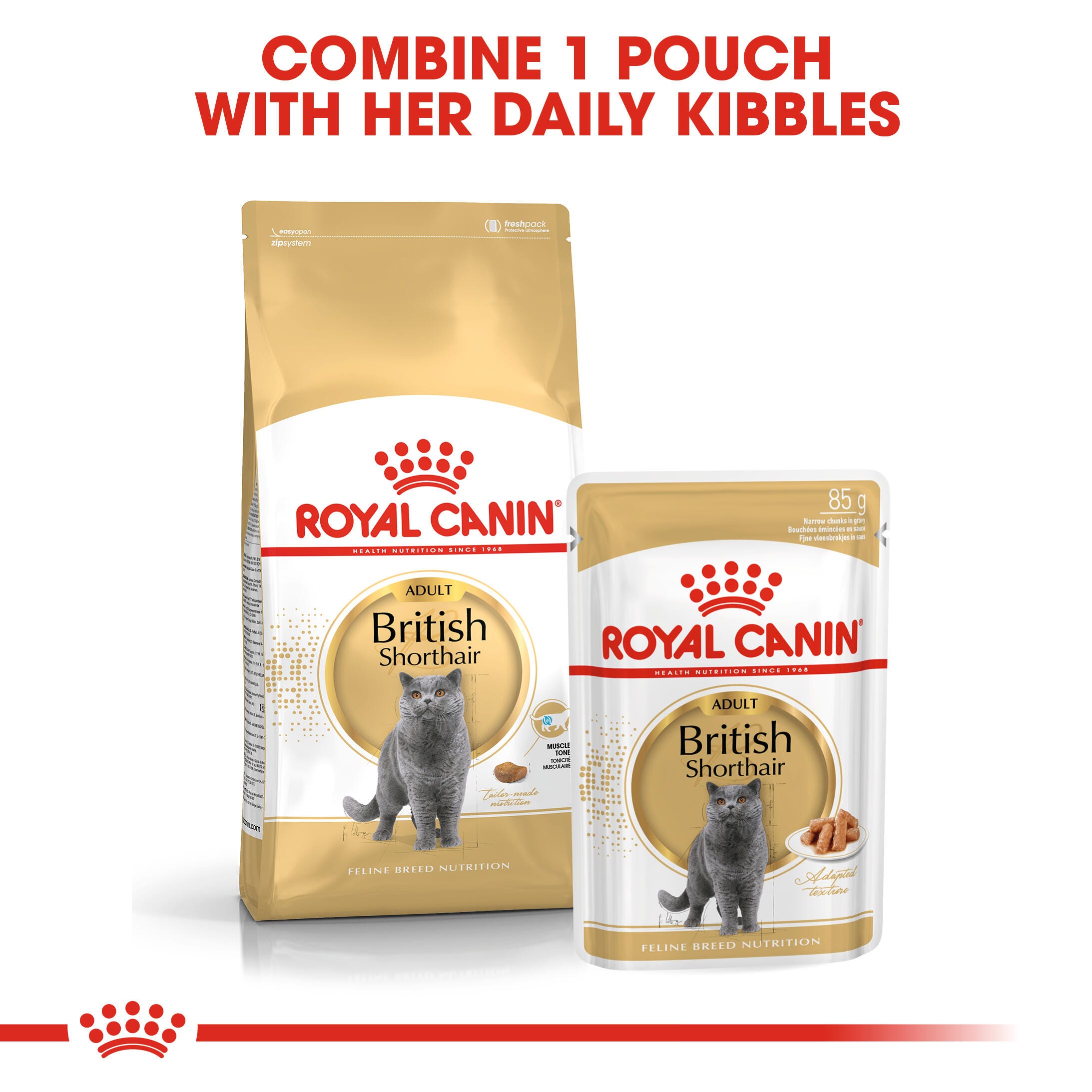 ROYAL CANIN® British Shorthair Adult Cat Wet Food