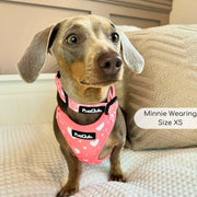 PupClub Adjustable Harness - Peachy Hearts
