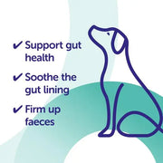 Protexin Veterinary Pro-Kolin Advanced Gut Health Paste for Dogs