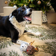 Rosewood Cupid & Comet Ralphie Reindeer & Parker Penguin Dog Toys