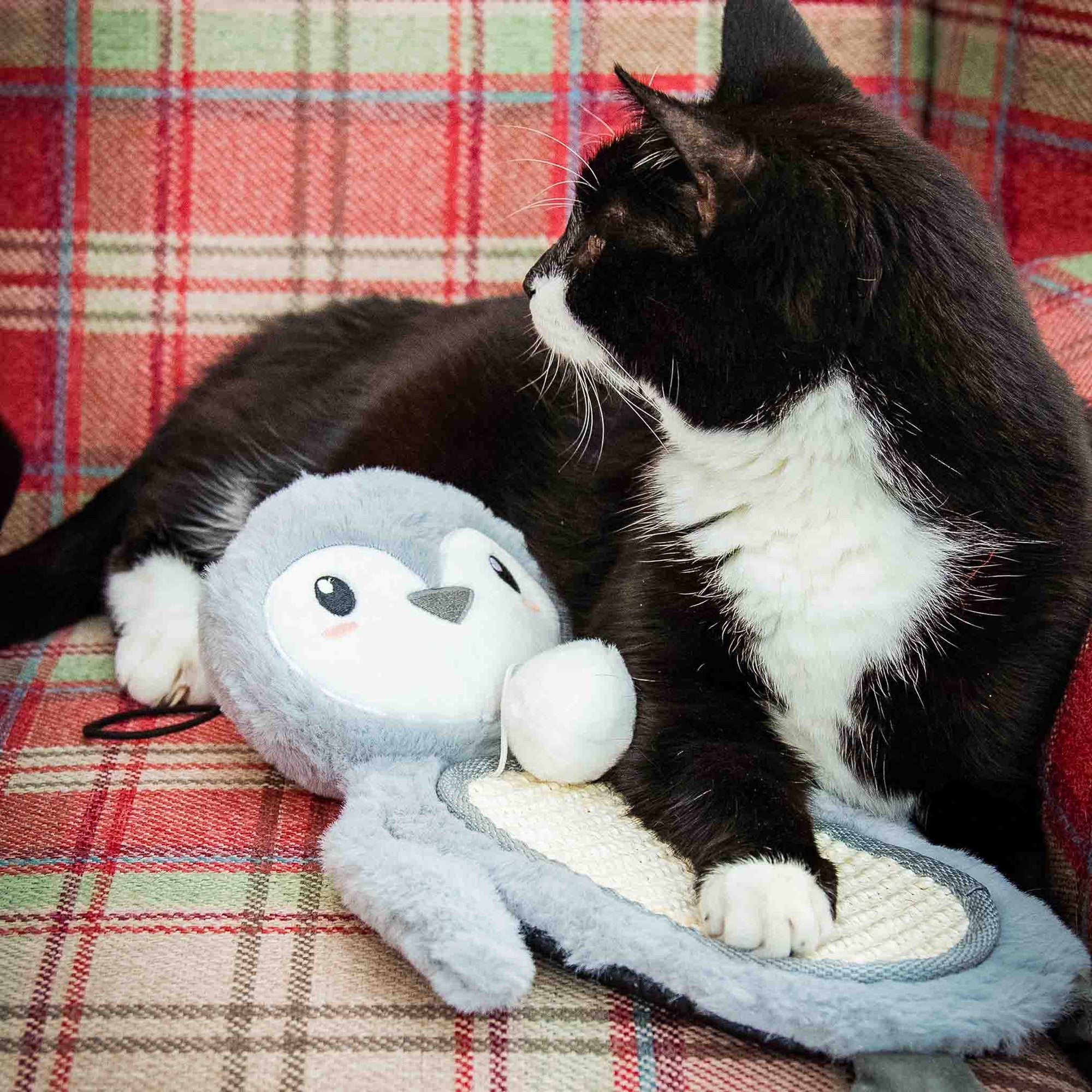 Rosewood Cupid & Comet Mr Poppy Penguin Cat Toy