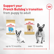 ROYAL CANIN® French Bulldog Adult Wet Dog Food