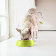 LickiMat OH Bowl™ Green for Dogs and Cats