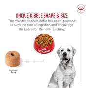 ROYAL CANIN® Labrador Retriever Adult Dry Dog Food