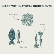 Burns Wild Fish, Carrots & Brown Rice Wet Dog Food