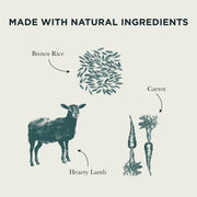 Burns Lamb, Carrots & Brown Rice Wet Dog Food