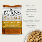 Burns Alert Assistance Chicken & Rice Dry Dog Food