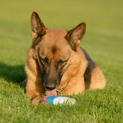 COOLER Mesh Lolly Toy for Dogs