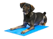 Petface Cooling Pet Towel