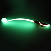 Chuckit! Max Glow Launcher with Ball