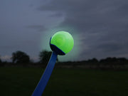 Rosewood Glow in the Dark Ball