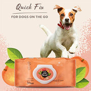 Pet Head Quick Fix Wipes 100 Pack