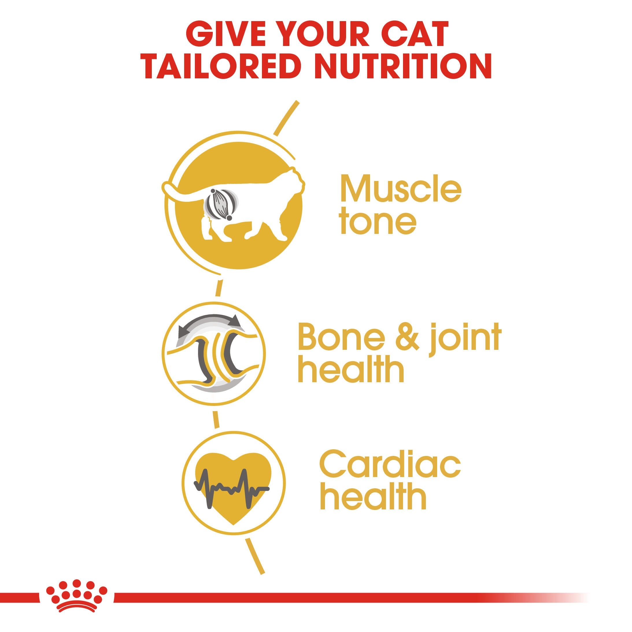 ROYAL CANIN® British Shorthair Adult Cat Dry Food