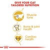 ROYAL CANIN® British Shorthair Adult Cat Dry Food