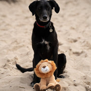 Petface Planet Luis Lion Dog Toy