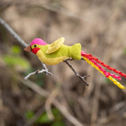 Petface Planet Harper Hummingbird Cat Toy