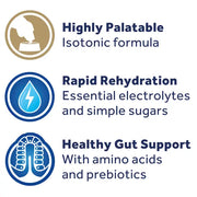 Oralade Advanced GI+ Oral Rehydration Support Liquid for Dogs and Cats