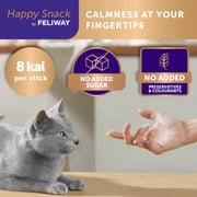Kitten Starter Pack