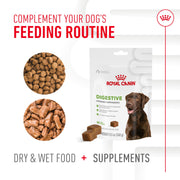 ROYAL CANIN® Digestion Soft Chews Supplements for Dogs