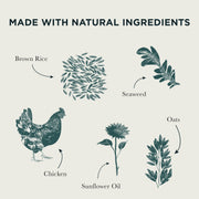 Burns Alert Assistance Chicken & Rice Dry Dog Food