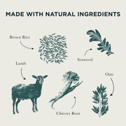 Burns Puppy Original Lamb & Rice Dry Dog Food