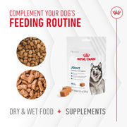 ROYAL CANIN® Joint and Ageing Soft Chews Supplements for Dogs