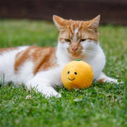 Petface Orange Plush Cat Toy