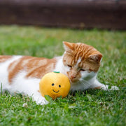 Petface Orange Plush Cat Toy