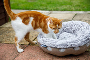 Petface Angry Mouse Cat Donut Bed
