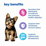 Hill's Vet Essentials Multi-Benefit Puppy Small & Mini Dry Food