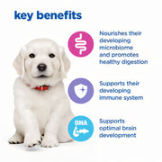 Hill's Vet Essentials Multi-Benefit Puppy Large Breed Dry Food