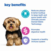 Hill's Vet Essentials Multi-Benefit + Dental Adult 1+ Small & Mini Dry Dog Food