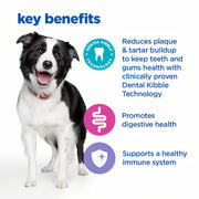 Hill's Vet Essentials Multi-Benefit + Dental Adult 1+ Medium And Large Breed Dry Dog Food