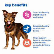 Hill's Vet Essentials Multi-Benefit Adult Dog Food