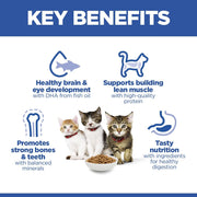 Hill's Science Plan Kitten Salmon 1.5kg Dry Cat Food