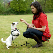 Mikki Deluxe Training Dog Treat Bag