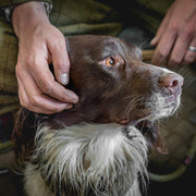 Skinner's Field & Trial Joint & Conditioning Dog Treats
