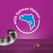 Whiskas Temptations Salmon Flavour