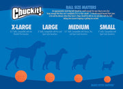 Chuckit! Fetch Ball