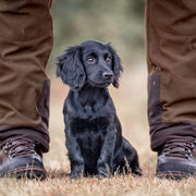 Skinner's Field & Trial Chicken Liver Training Dog Treats