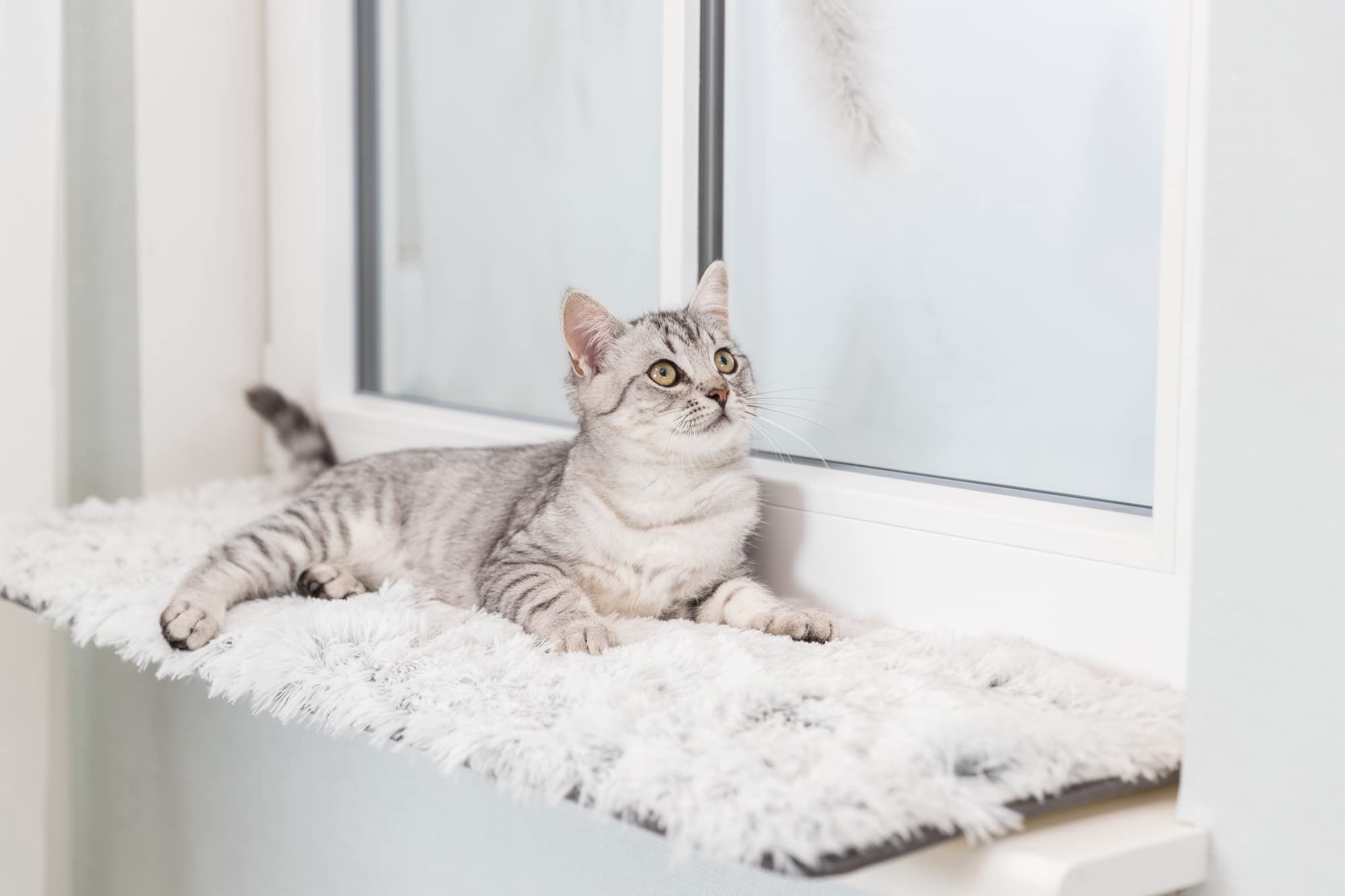 Trixie Lying Mat Harvey for Windowsills for Cats