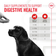 ROYAL CANIN® Immunity and Digestion Soft Chews Supplements for Puppies