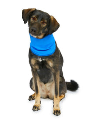 Petface Cooling Pet Bandana