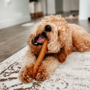 Nylabone Extreme Chew Roast Chicken Baguette Large