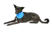 Petface Cooling Pet Bandana
