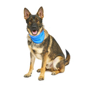 Petface Cooling Pet Bandana