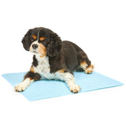 Petface Cooling Mat